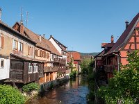180723 09-07 P1460333