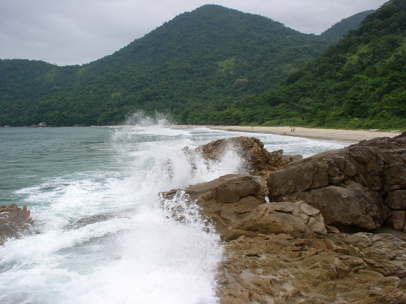 P3113684.jpg