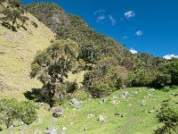 Paysage Guambianos