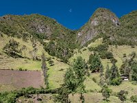 Paysage Guambianos