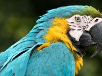 colombie-63