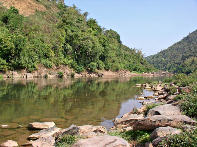 P2223245.jpg