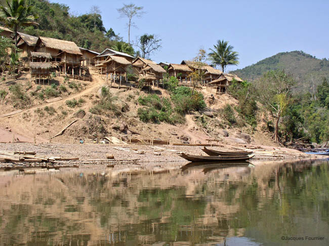 P2223284.jpg