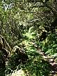 PB172062.JPG PB172062.JPG